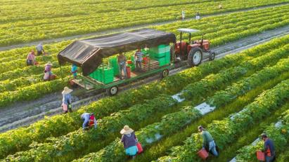 Vietnamese agriculture moving towards green values