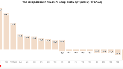 Bất chấp thị trường giảm sâu, khối ngoại mua ròng nhiều cổ phiếu