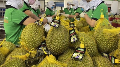2022 trade turnover hits $732.5bln