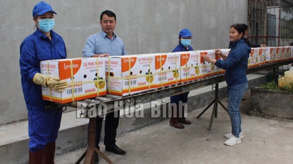 First batch of Cao Phong oranges exported to UK