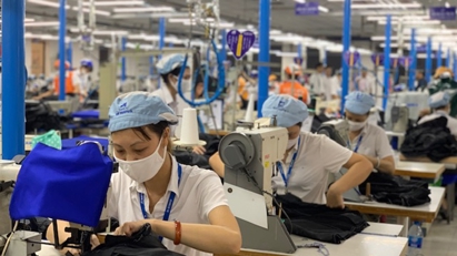 Hơn 200.000 lao động bị nợ đóng bảo hiểm xã hội, nguy cơ không có lương hưu