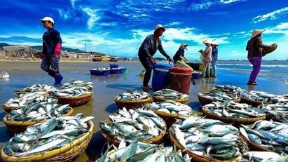 Thủy sản tăng trưởng kỷ lục, nhưng phía trước còn nhiều “chông gai”