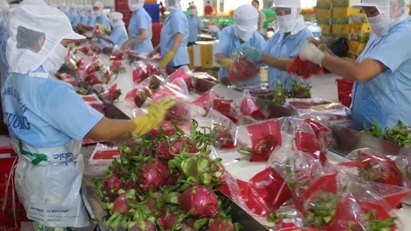 Measures needed to boost agricultural exports to China