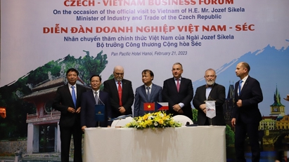Investment potential remains in Vietnam - Czech Republic ties