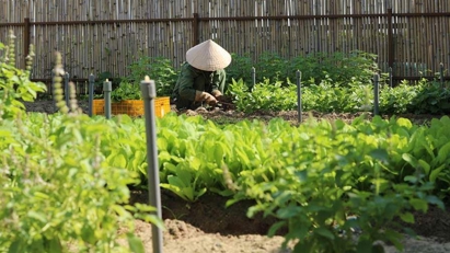 Hotels and resorts developing their own farms