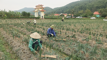 Nông thôn mới đi lên từ nông nghiệp xanh