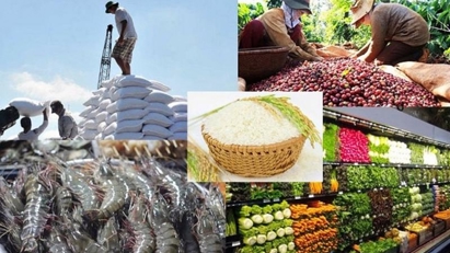 Vietnam targets $14bln in agro-forestry-fishery exports in Q2