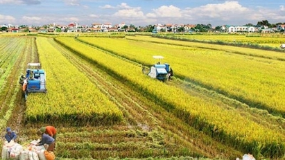 Vietnam to host global conference on food system transformation