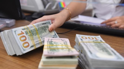 SBV purchases $6bln to consolidate foreign exchange reserve