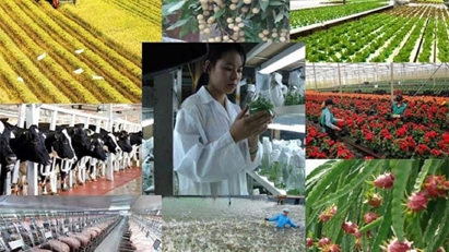 Sign of recovery in agricultural production