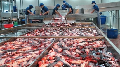 Seafood exports post impressive growth in past 25 years