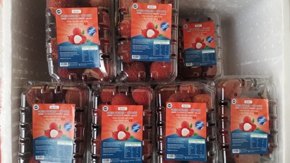 First batch of Vietnamese seedless lychees officially exported to UK