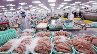 Xuất khẩu thủy sản đã có tín hiện tích cực