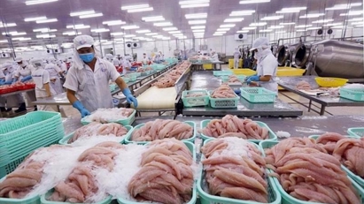Seafood exports showing signs of recovery