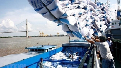 Vietnam remains biggest rice supplier to the Philippines
