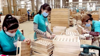 Wood exporters struggling as markets narrow