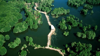 Steering committee on tourism development established for HCMC’s Can Gio district