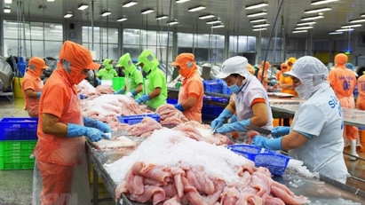 Tra fish export orders expected to increase at year-end