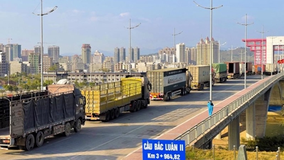 Mong Cai border gate handles 1 million tons of cargo