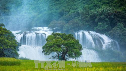 Ban Gioc Waterfall Tourism Festival 2023 underway