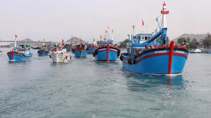 Quang Binh taking strong measures to fight illegal fishing