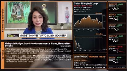 CEO VinFast: 76 triệu cổ phiếu đăng ký lưu hành bổ sung sẽ giúp VFS nâng cao thanh khoản