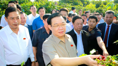 Đầu tư liên kết phát triển bền vững cà phê Sơn La