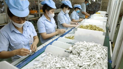 Hơn nửa triệu lao động doanh nghiệp FDI Nhật Bản tham gia bảo hiểm xã hội