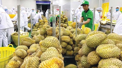2023 fruit & vegetable exports expected at $5.8bln