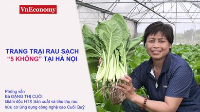 Làm giàu nhờ trang trại rau hữu cơ "5 không"