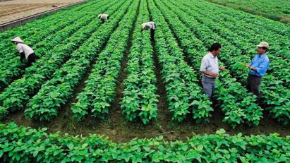 Cooperatives play key role in green transformation