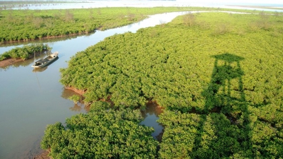 Vietnam rakes in $128mln from forest environmental services