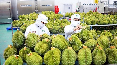 Deputy Minister: 2023 agri exports to hit $54bln
