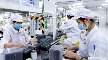 Về đích trước hạn, ngành thuế phấn đấu thu ngân sách vượt dự toán 5,5%