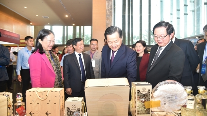 Binh Dinh striving to become a sea-based economic center
