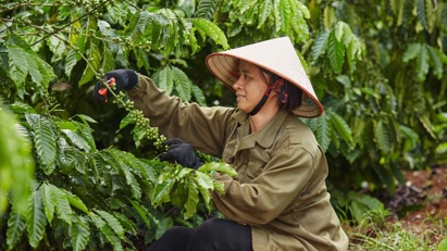 Farm produce exports to top $26bln by 2030