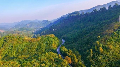Vietnam to develop carbon credit market