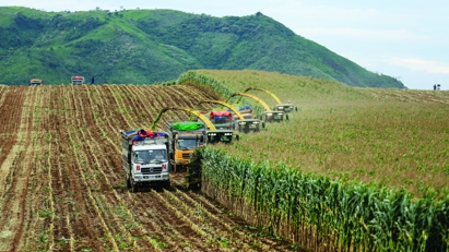 Bà Thái Hương được tôn vinh nhà lãnh đạo phát triển bền vững của năm