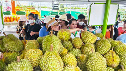 Xuất khẩu rau quả kỳ vọng vượt mục tiêu