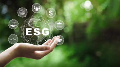 Ways for  businesses to go green