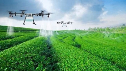 Agriculture needs more foreign investment capital