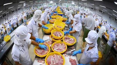 Xuất khẩu thủy sản 6 tháng năm 2024 có thể đạt 4,4 tỷ USD