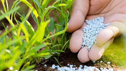 "Thiệt đơn, thiệt kép" vì không chịu thuế VAT, kiến nghị đưa phân bón vào diện chịu thuế 5%