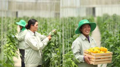Nông trường WinEco, nơi "gieo trồng" những nụ cười hạnh phúc