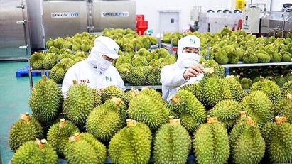 Fruit & vegetable exports earn $3.5 bln in 1H
