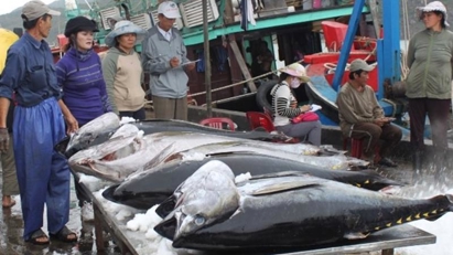 Seafood exports hit $4.4 bln in 1H
