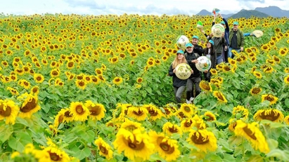 Nghe An province welcomes 5.5 million tourists in 1H