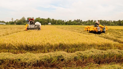 2024 agro-forestry-fishery export expected at $58 bln 