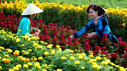 Công bố bộ nhận diện thương hiệu Làng Văn hóa du lịch Chợ Lách