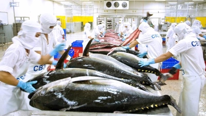 Tuna exports earn $472 mln in 1H